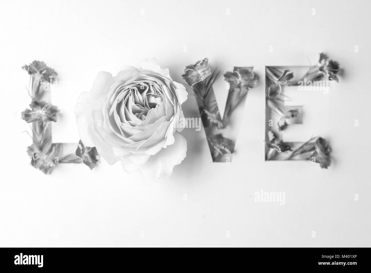 Inscription L'amour avec des fleurs roses Banque D'Images