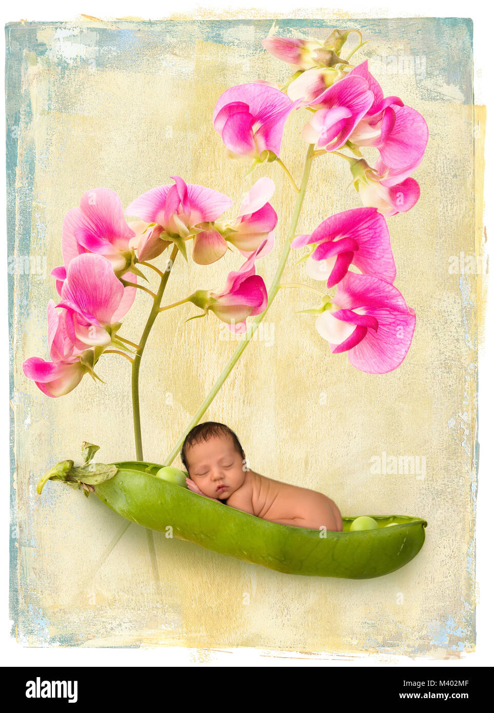 Adorable bébé dormir dans un PEA pod sous un rameau de fleurs de pois sucré Banque D'Images