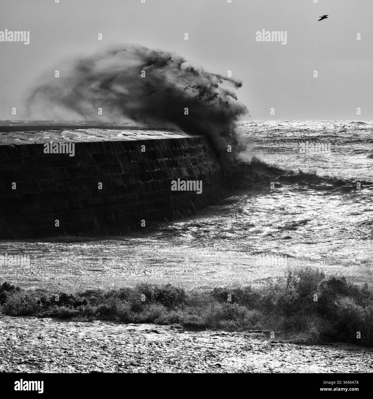 Lyme Regis sur un jour de tempête en Bkack et blanc, vagues de la Cobb. Banque D'Images