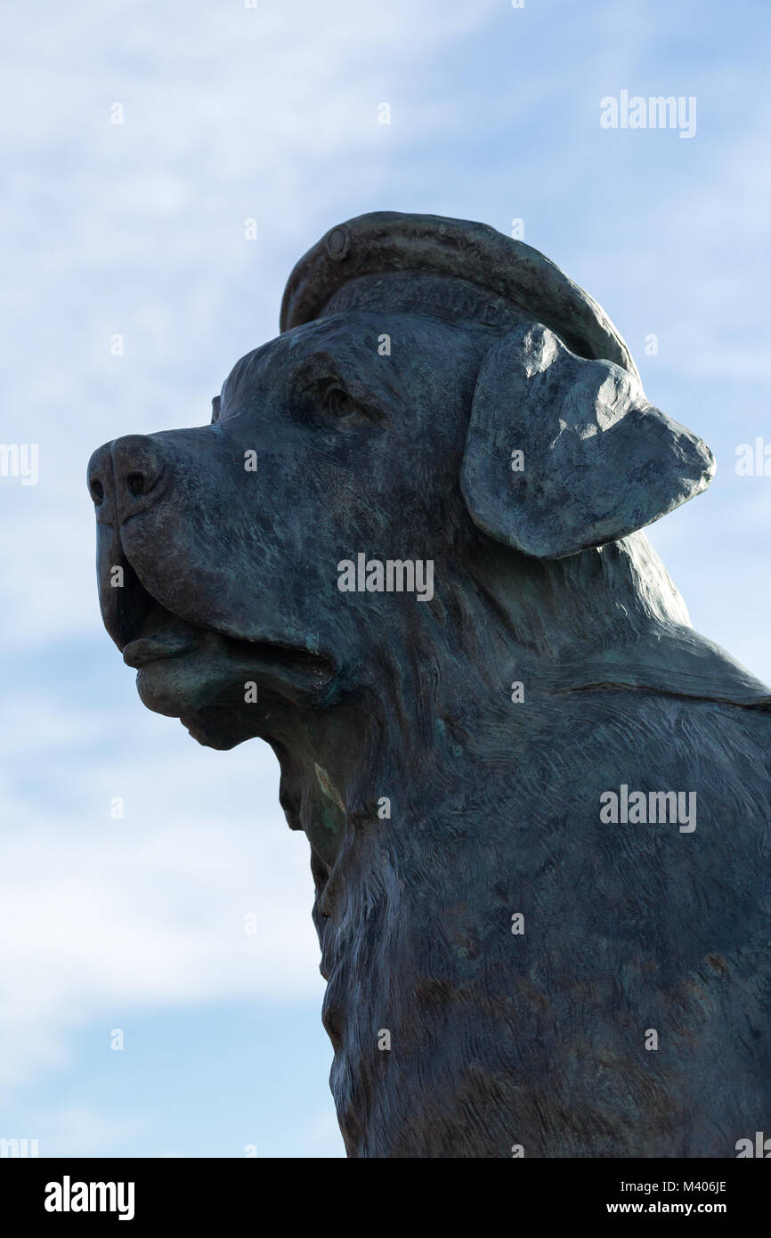 Sculpture de "Bamse" un chien héros en Montrose Heritage Trust site. Port de Montrose Ecosse UK Banque D'Images