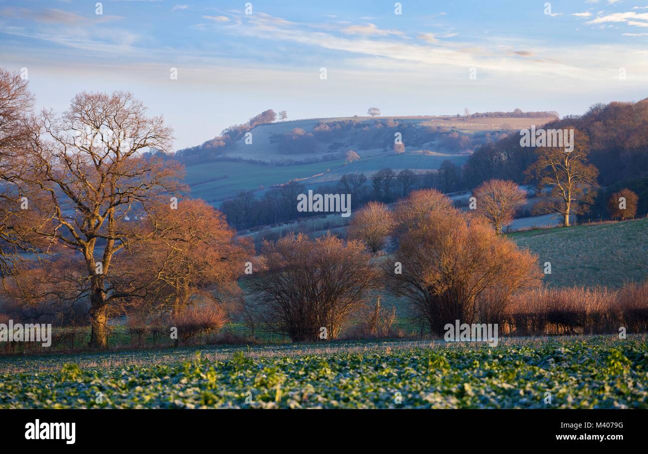Cotswold matin en hiver. Chipping Campden, Gloucestershire, Angleterre. Banque D'Images