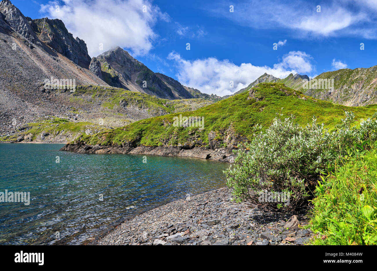 Mémoires d'pousse sur des fragments de roches sur la rive du lac de montagne. Sayan de l'Est. La Russie Banque D'Images