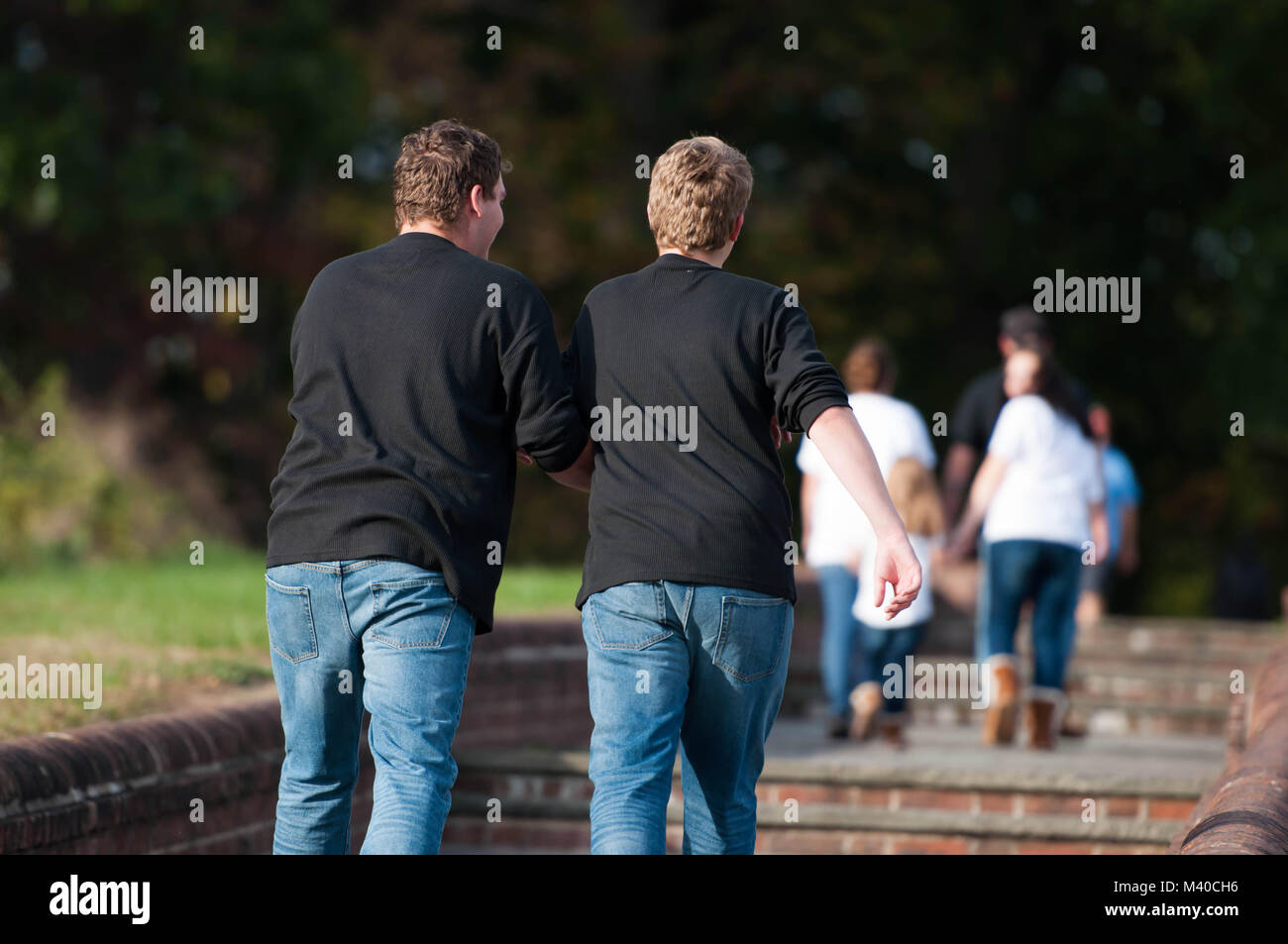Deux frères à marcher ensemble dans un parc Banque D'Images