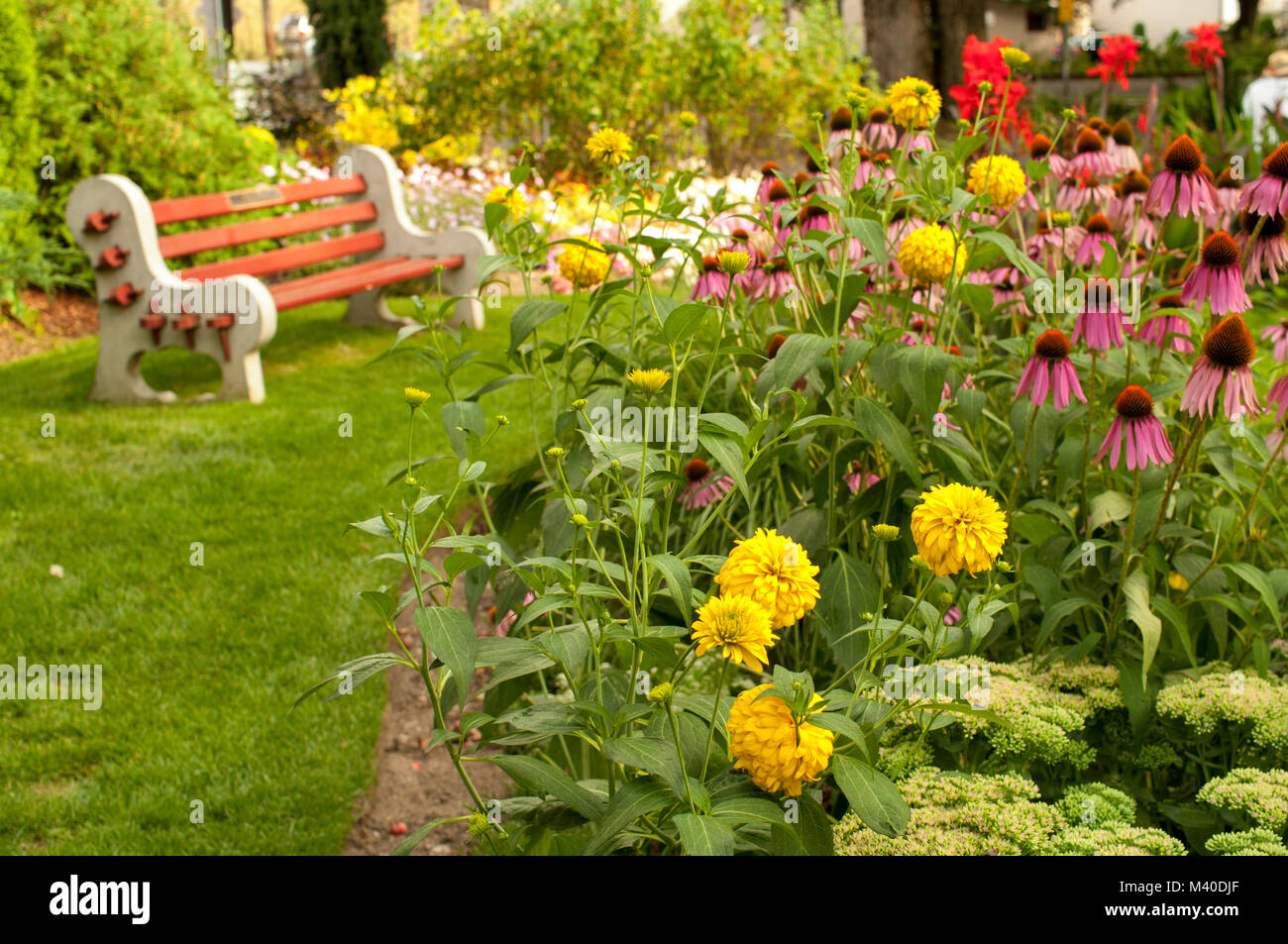 Nelson, Colombie-Britannique, Canada. Jardin fleuri et banc rotatif à  Lakeside Park Photo Stock - Alamy