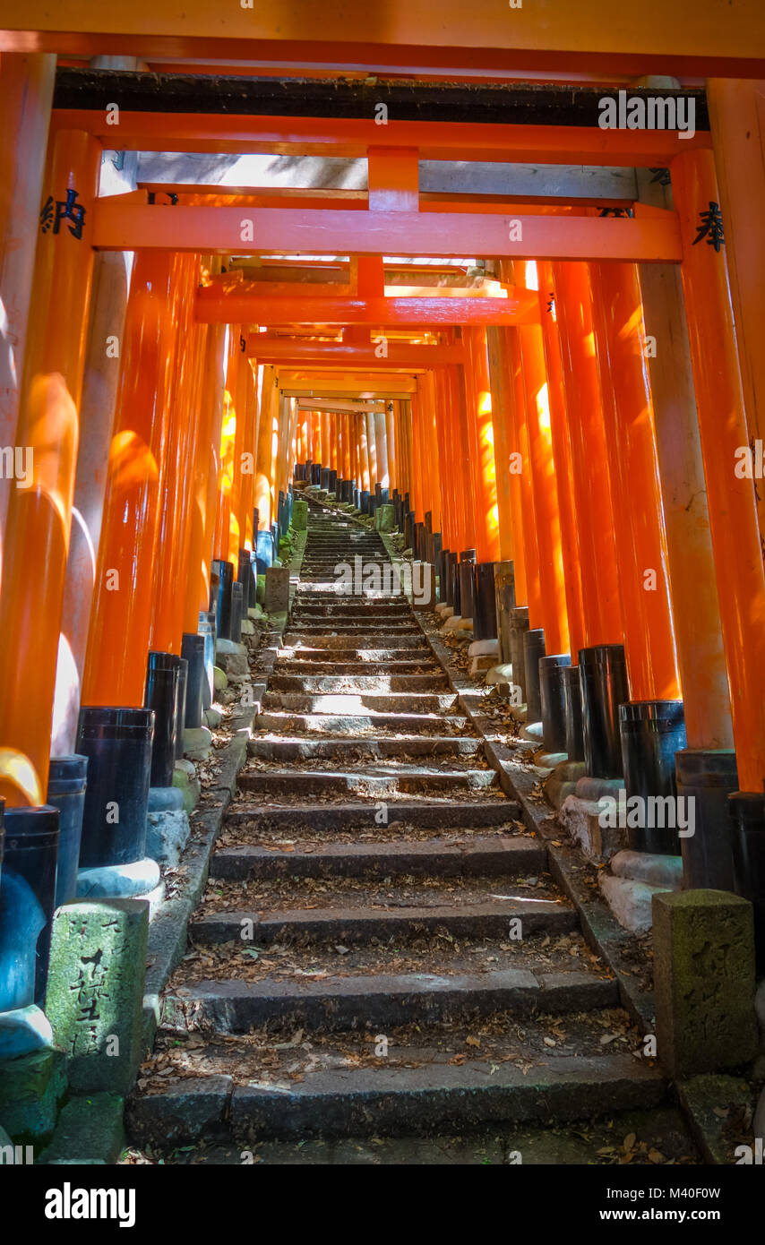 Fushimi Inari Taisha torii de culte, Kyoto, Japon Banque D'Images