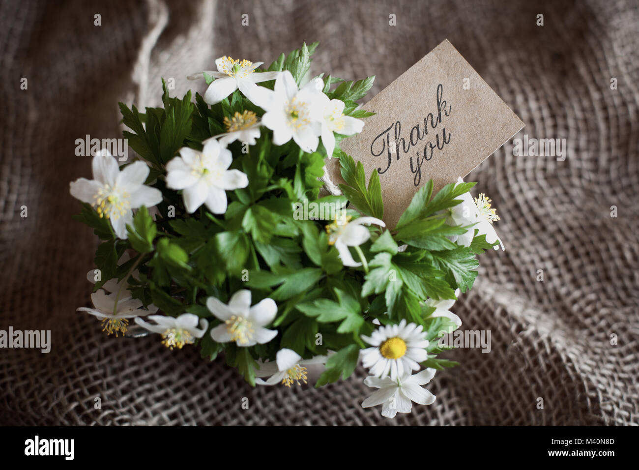 Bouquet d'anémones de printemps avec une carte "merci" Banque D'Images