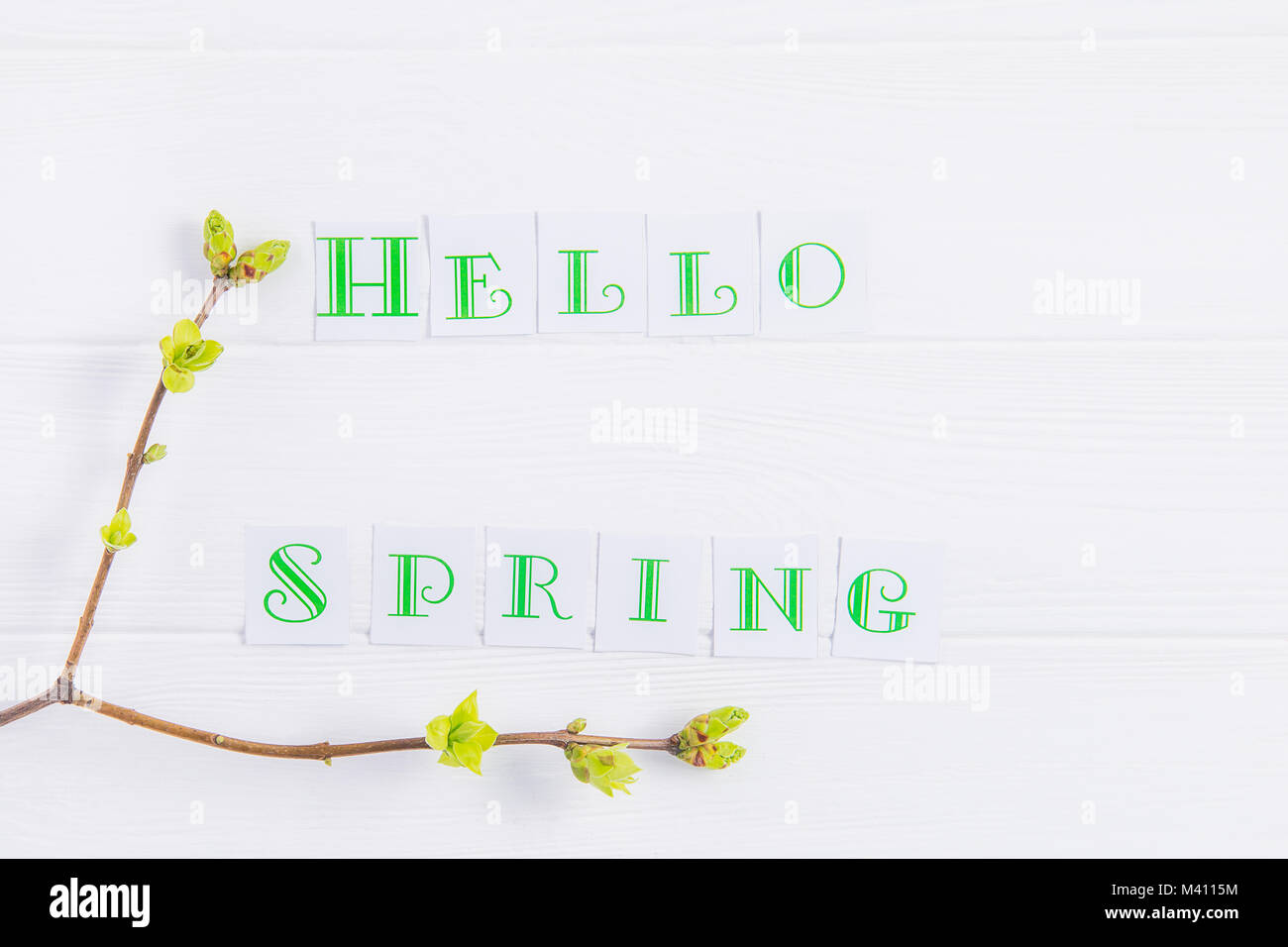 Composition simple de bonjour printemps lettrage calligraphie et les branches avec de jeunes pousses de verdure sur fond de bois. Concept Art. Selective focus Banque D'Images