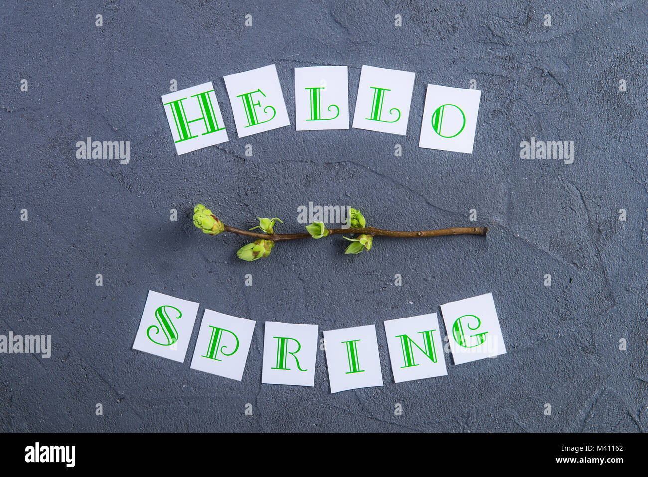 Composition simple de bonjour printemps lettrage calligraphie et branche avec de jeunes pousses de verdure sur fond noir en gris foncé. Concept Art. Selecti Banque D'Images