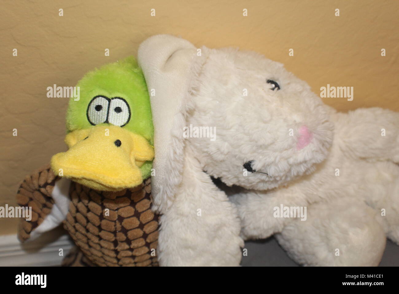 Deux jouets en peluche être amical avec expressions mignon Banque D'Images