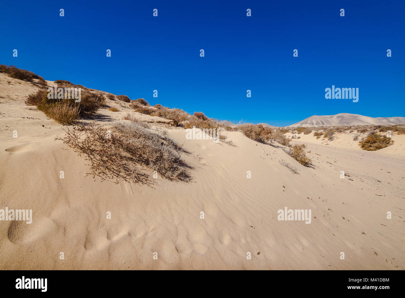 Sotavento, Risco Del Paso désert de sable jaune avec les montagnes à l'horizon. Risco Del Paso près de Jandia, Fuerteventura, Espagne. Banque D'Images
