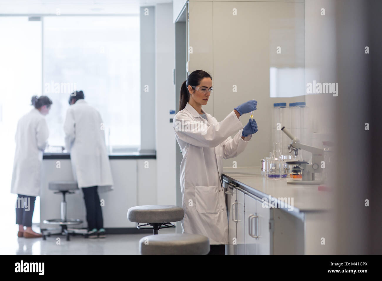 Female scientist travaillant dans un laboratoire scientifique. Banque D'Images