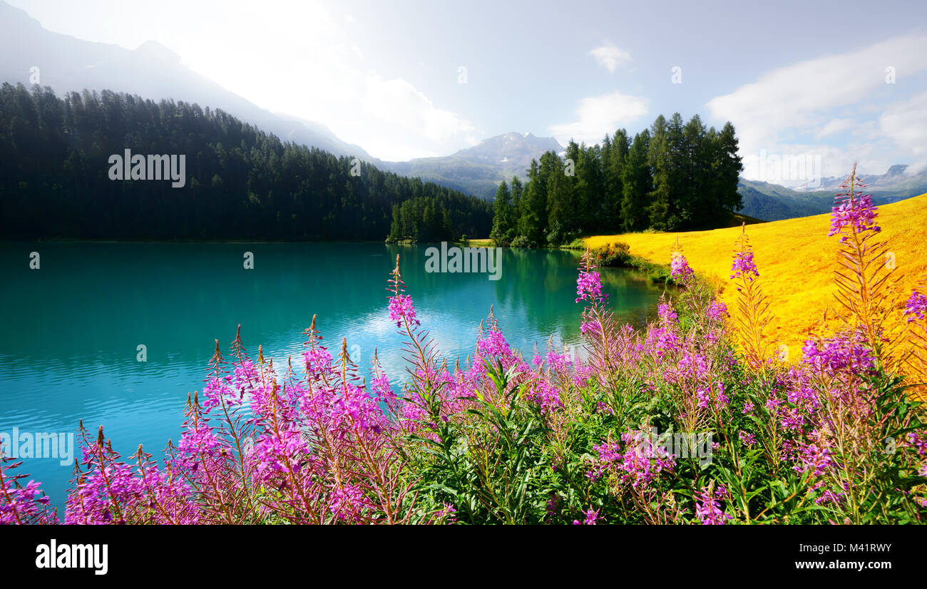 Incroyable journée ensoleillée à Champferersee lac dans les Alpes Suisses Banque D'Images