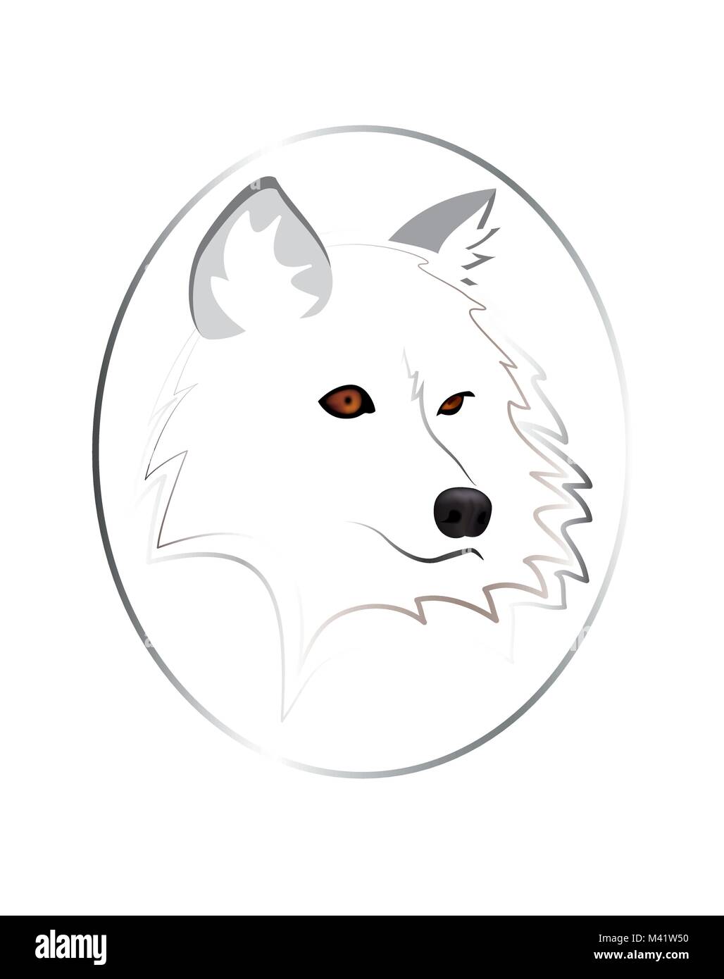 Loup Blanc Isole Image Vectorielle Stock Alamy