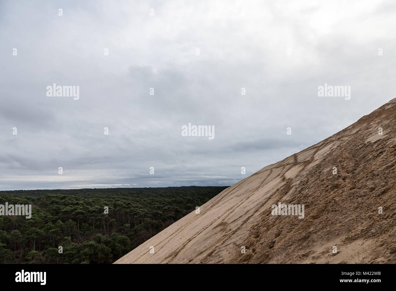 Panorama de la Dune du Pilat (Dune du Pilat) lors d'un après-midi nuageux avec la forêt des Landes (forêt des Landes), faite de pins, derrière. Pilat, ou Banque D'Images