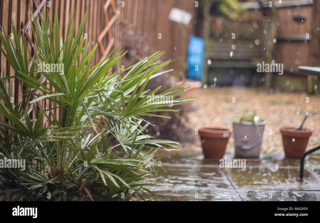 Un jardin anglais scène pluvieuse Banque D'Images