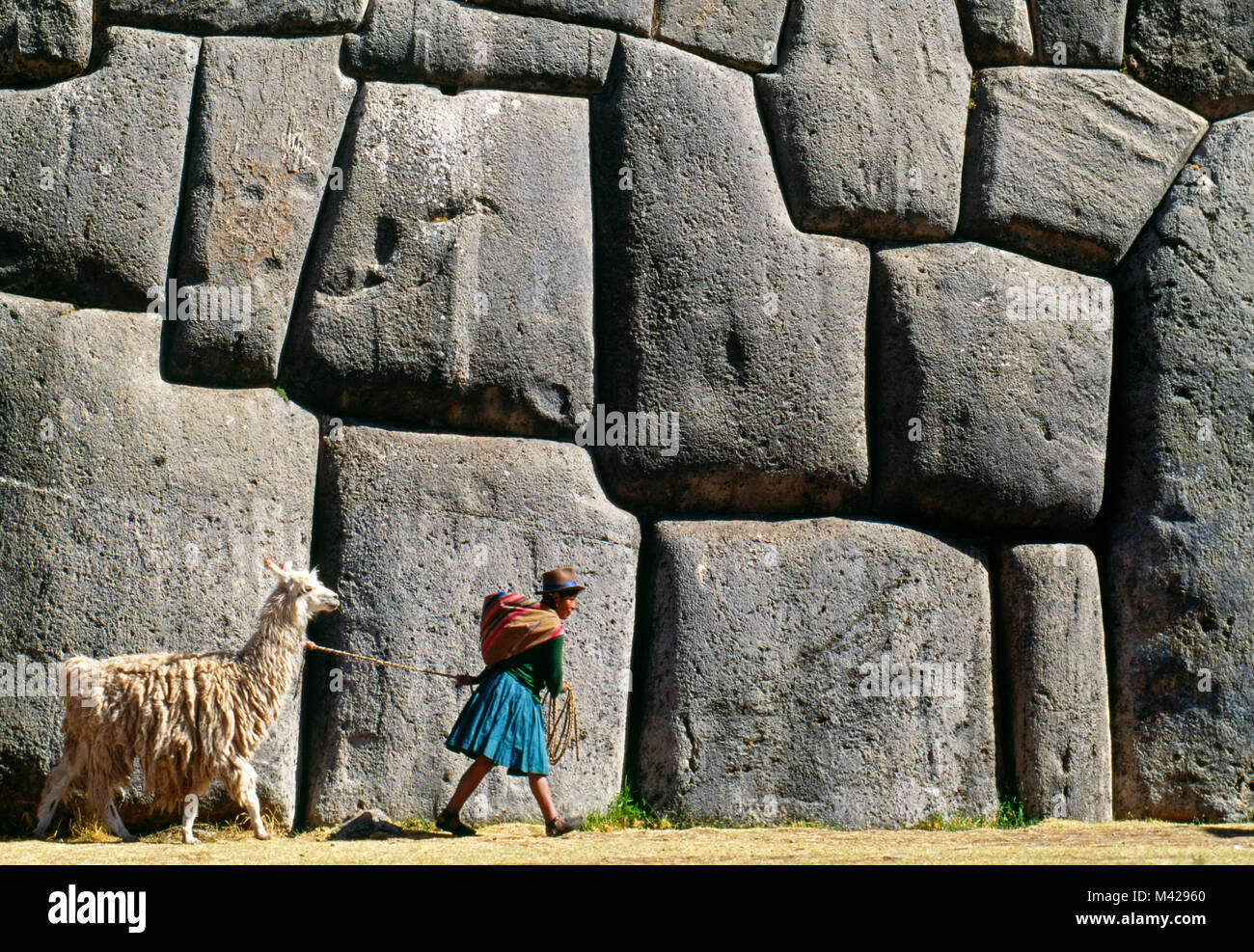 Le Pérou. Sacsayhuaman. Près de Cusco, Cuzco, ruines Incas. Femme et de lamas. UNESCO World Heritage Site. Banque D'Images