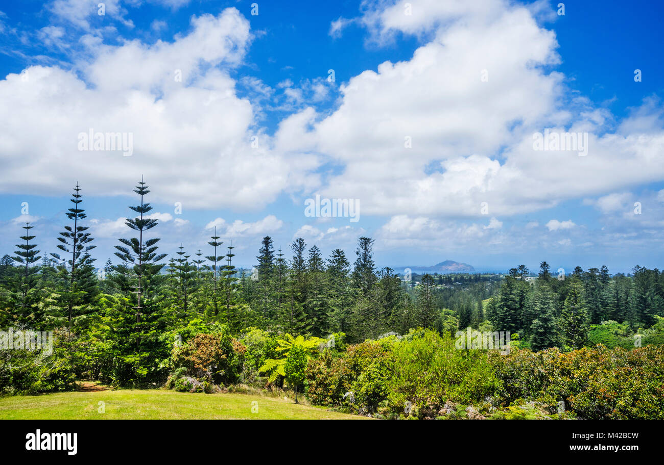 L'île de Norfolk, territoire extérieur australien, une clairière au Palm Glen permet à l'île panoramique vue sur la forêt de pins de l'Île Norfolk Banque D'Images