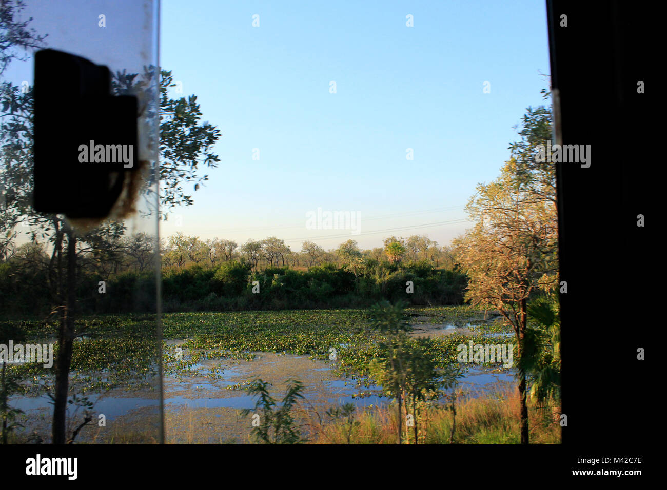 Vue depuis un bus public sur le bord du Pantanal, Brésil Banque D'Images