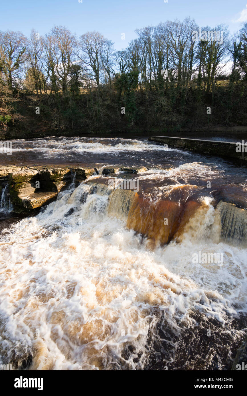 Richmond Falls sur la rivière Swale, Richmond, North Yorkshire, England, UK Banque D'Images