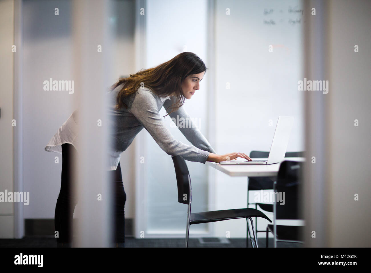 Businesswoman working on une présentation Banque D'Images Businesswoman working on une présentation Banque D'Images