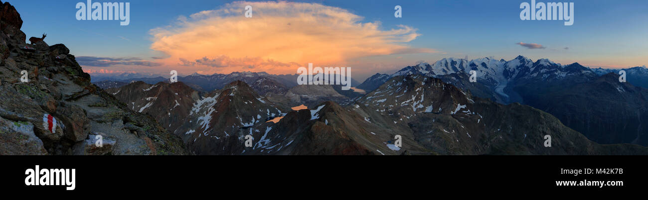 Ibex à à une cellule orageuse au coucher du soleil dans une photo panoramique de Piz Languard, Engadine, Grisons, Suisse Banque D'Images