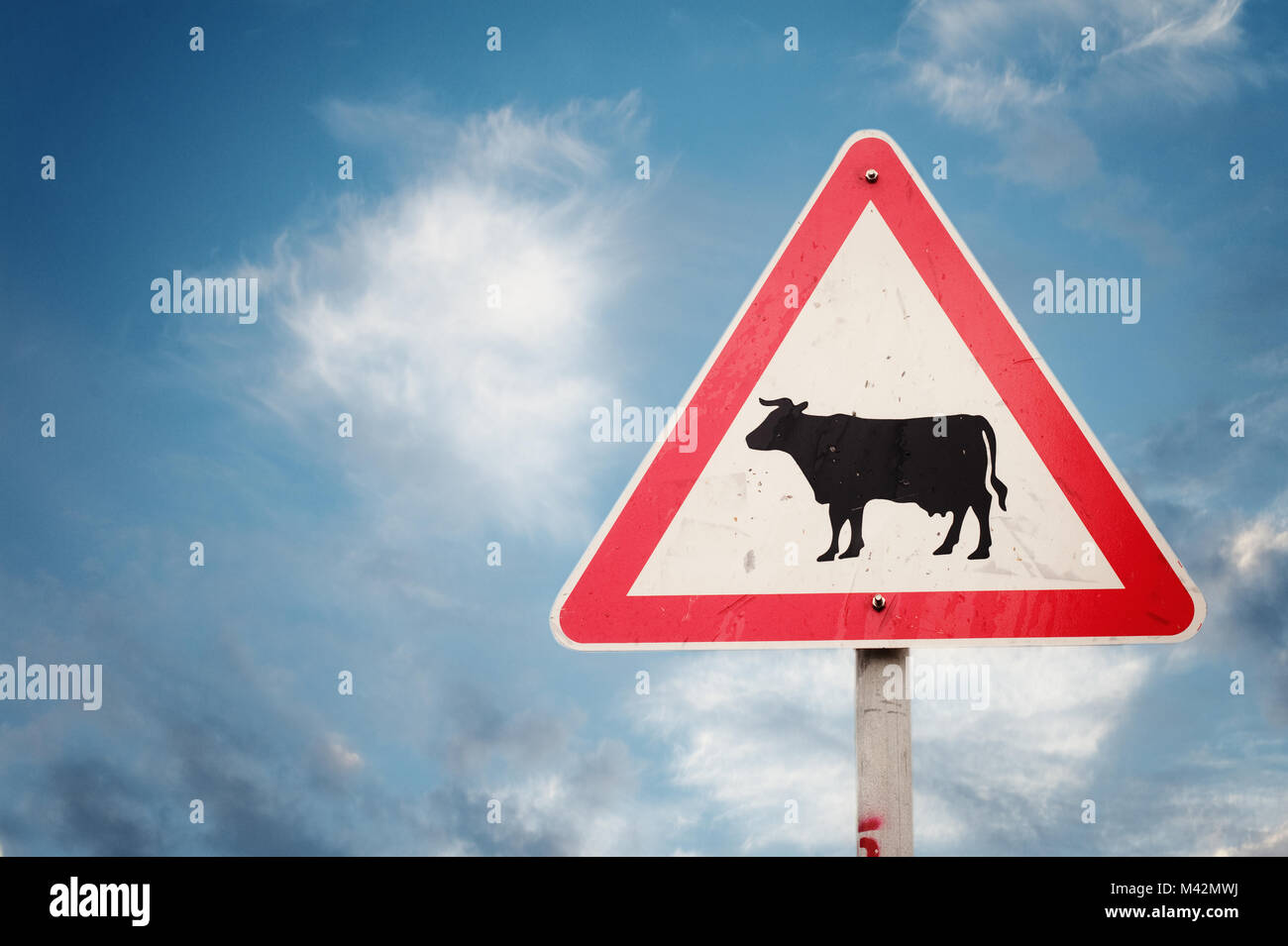 Signe de la vache contre le ciel bleu Banque D'Images