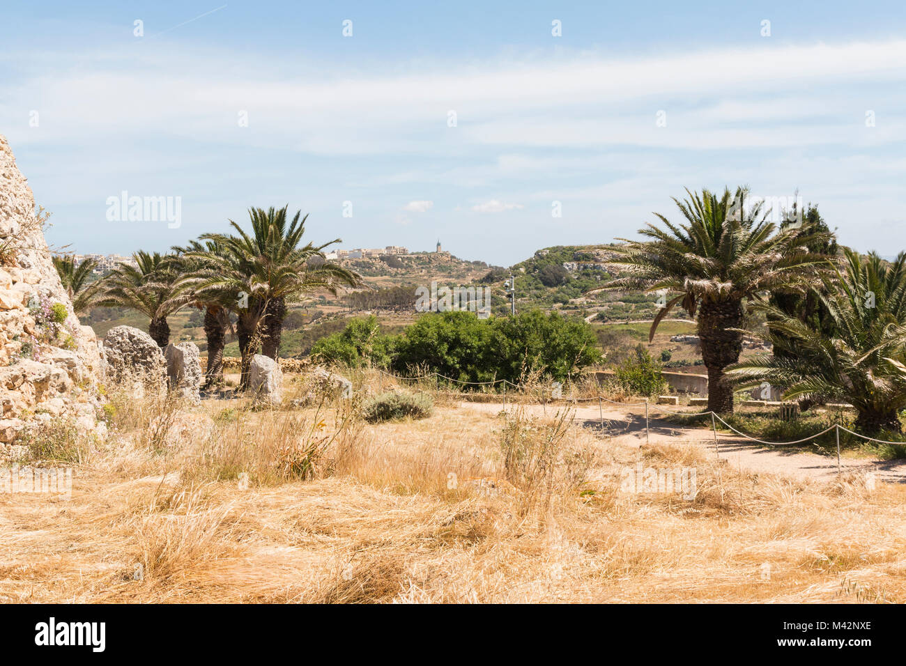 Une image montrant des palmiers, des herbes sèches et la campagne environnante, vu de l'temples à Gozo, Malte Banque D'Images