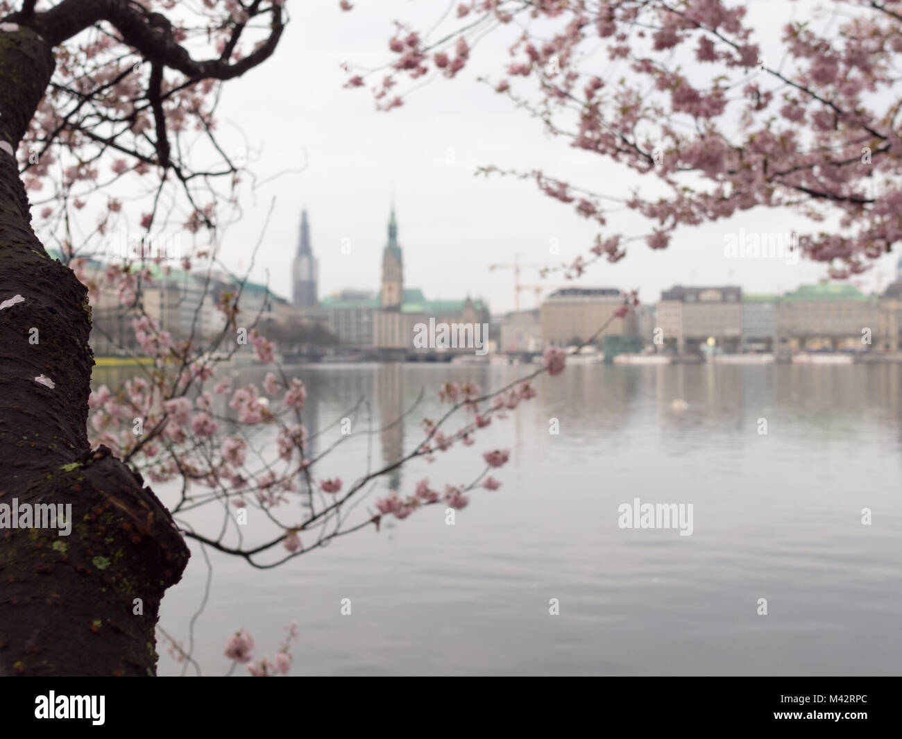 Hambourg, Allemagne - 14 Avril 2016 : au lac Inner Alster au matin. Hôtel de ville, rue Jungfernstieg, Nikolai en arrière-plan. Banque D'Images