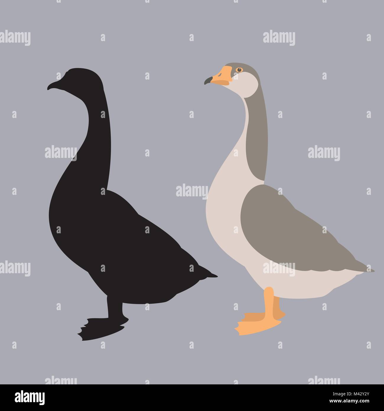 Goose vector illustration silhouette style plat côté profil noir Illustration de Vecteur