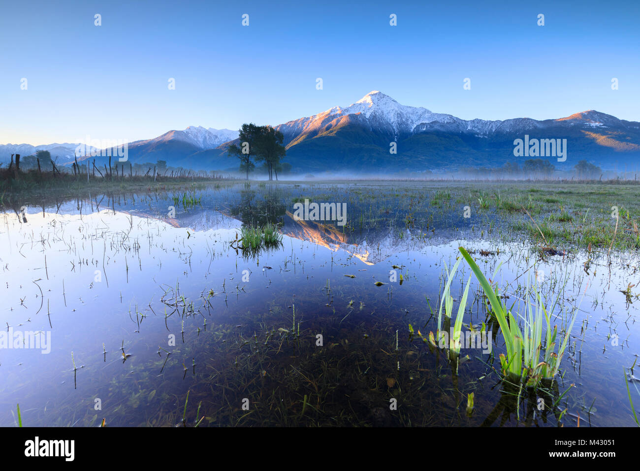 Le pic enneigé du Mont Legnone reflétée dans les terres inondées à l'aube de la Valteline Pian di Spagna Lombardie Italie Europe Banque D'Images