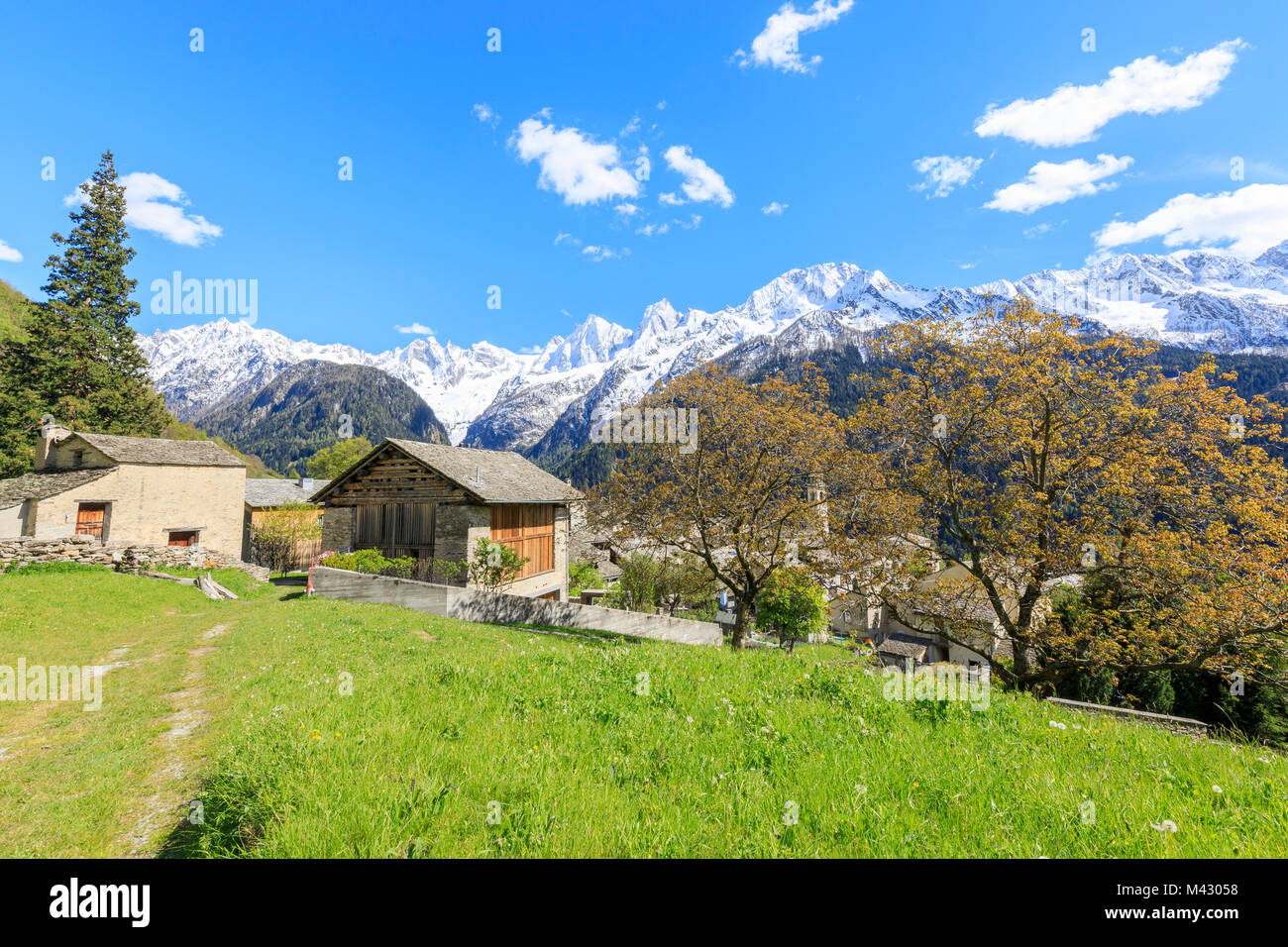 Avis de Soglio entre prairies et des sommets enneigés au printemps Maloja canton des Grisons Bregaglia Engadin Valley Suisse Europe Banque D'Images