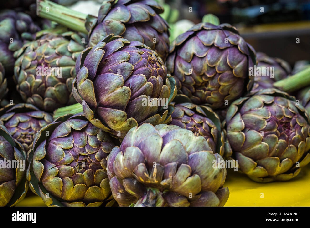 Artichauts frais at farmers market Banque D'Images