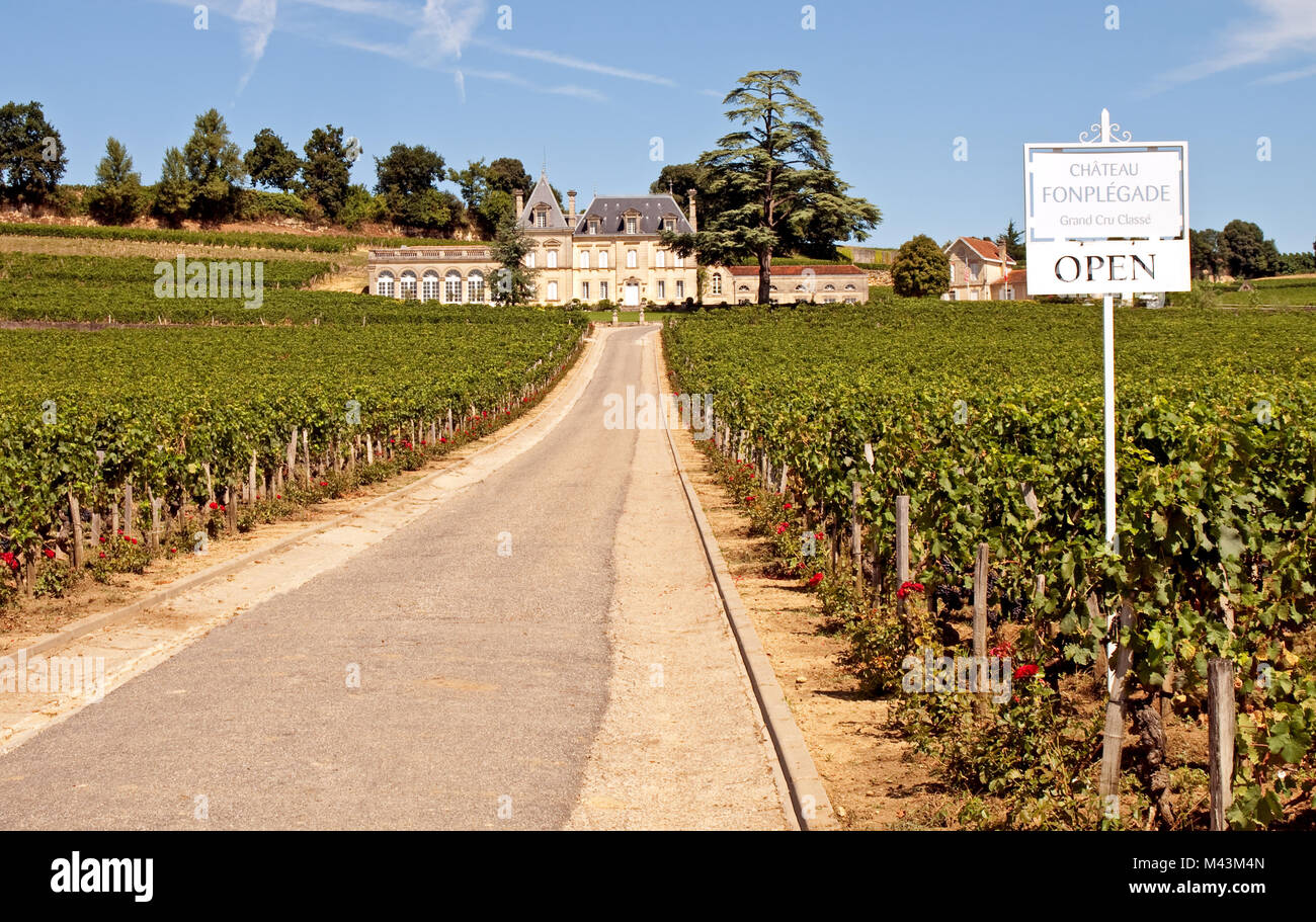 Chateau Fonplegade - un grand cru classe Chateau Banque D'Images