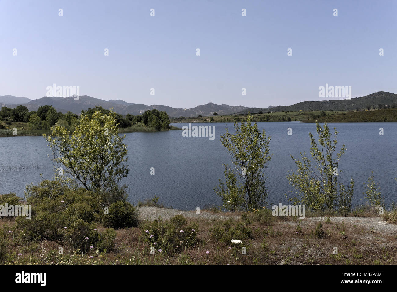 Près de lac de Padula Oletta dans le Nebbio, Corse Banque D'Images