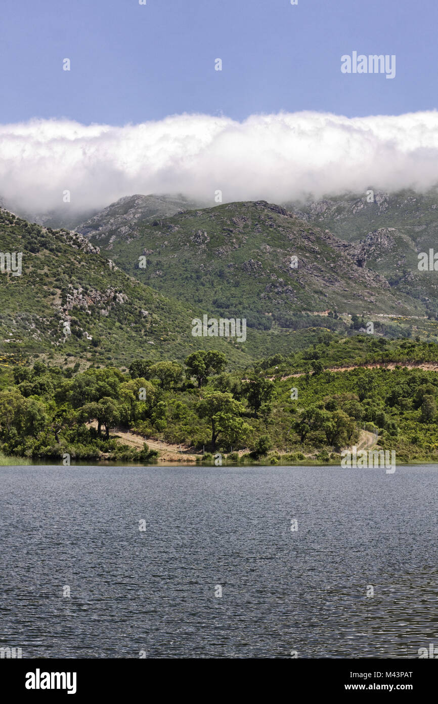 Près de lac de Padula Oletta dans le Nebbio, Corse Banque D'Images