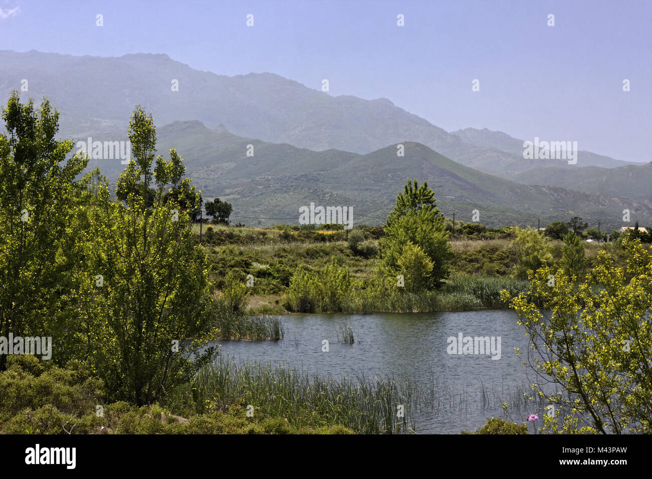 Près de lac de Padula Oletta dans le Nebbio, Corse Banque D'Images