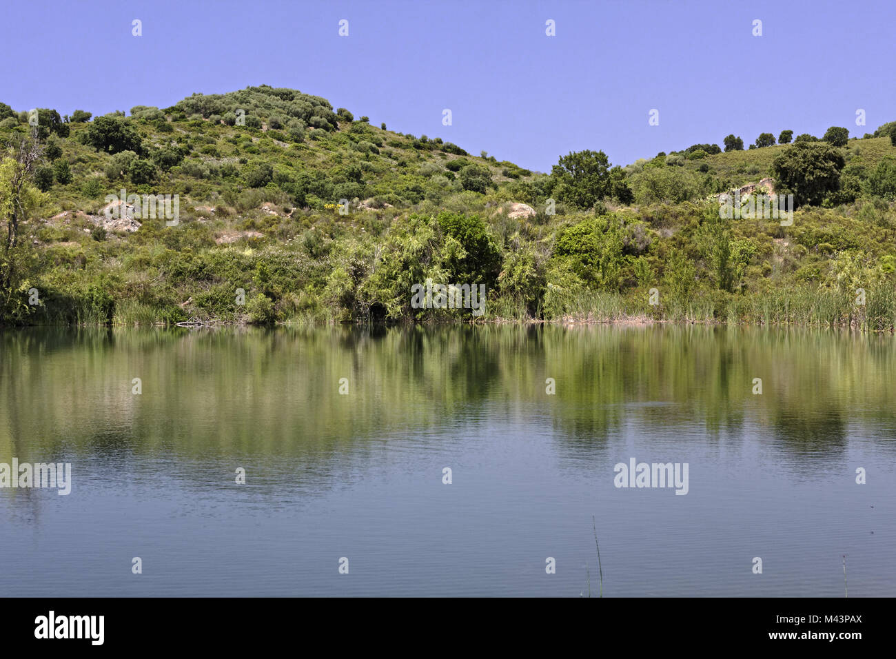 Près de lac de Padula Oletta dans le Nebbio, Corse Banque D'Images