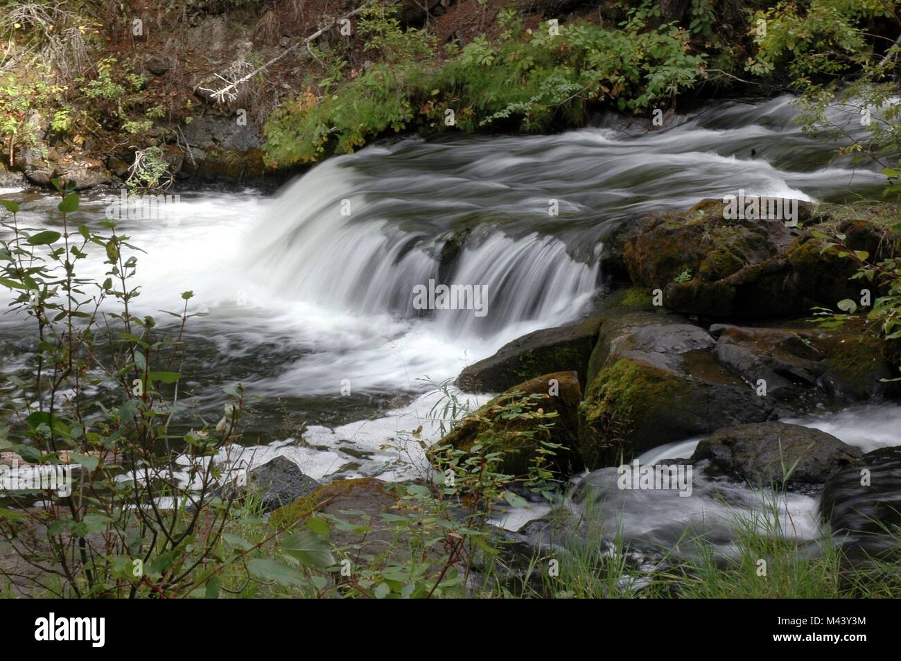 Superbe Pont Creek dans le parc du Centenaire à 100 Mile House, BC, Canada prises le 27 août, 2016 à 3:25 PM. Banque D'Images