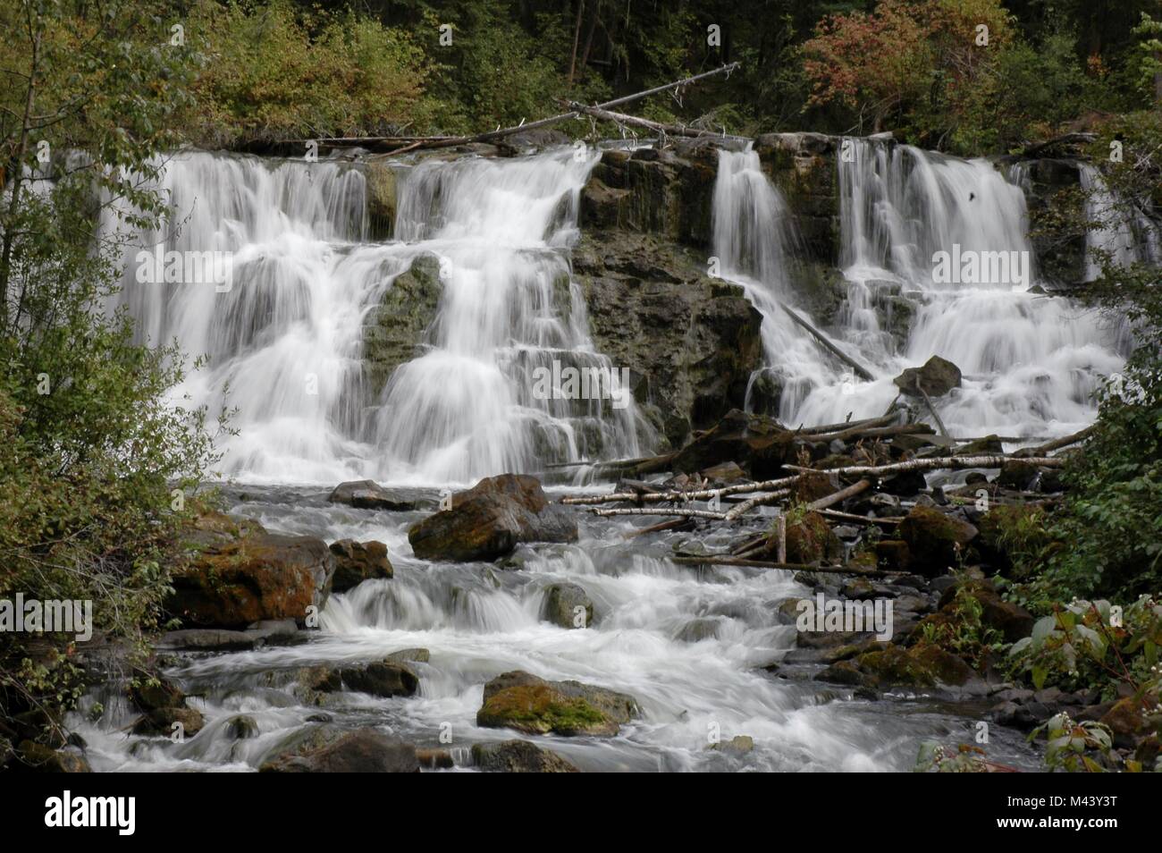 Photo de la tombe sur Bridge Creek dans le parc du Centenaire à 100 Mile House, BC, Canada. Prises le 27 août, 2016 à 3:30 PM. Banque D'Images