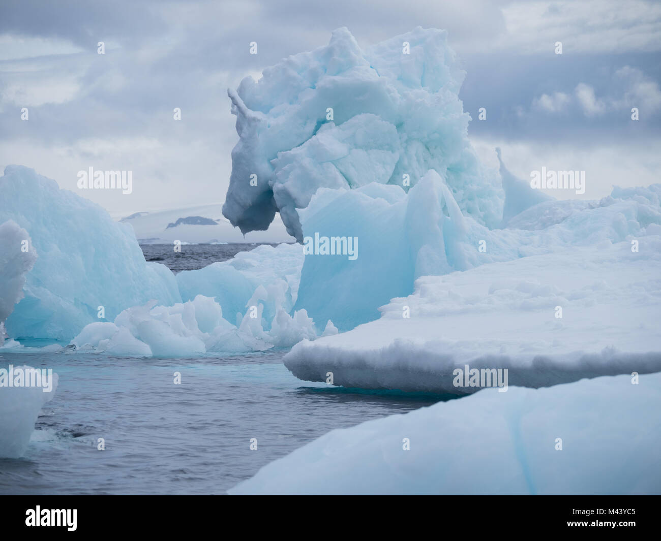 Bébé bleu, gris bleu et gris des icebergs dans l'Antarctique Esperanza en flottant dans l'eau bleu acier de l'océan Austral. Ciel nuageux est ci-dessus. Banque D'Images
