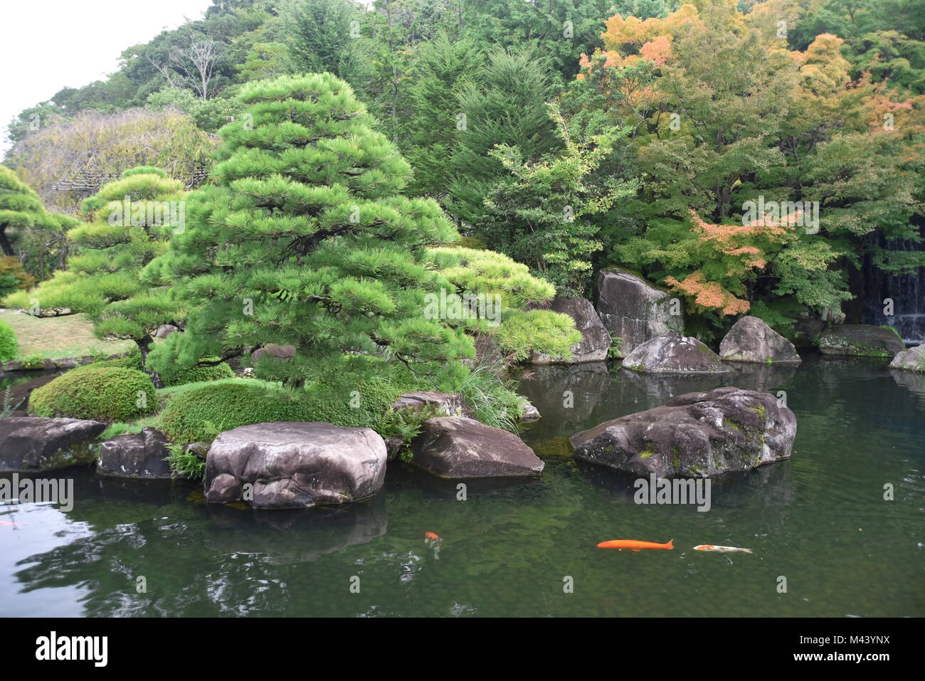 Amazing et spirituelle du château de Himeji, la marche l'antique 1000 ans Kumano Kodo Nakahechi'route' Le sentier péninsule Kii impériale, Le Sud du Japon Banque D'Images