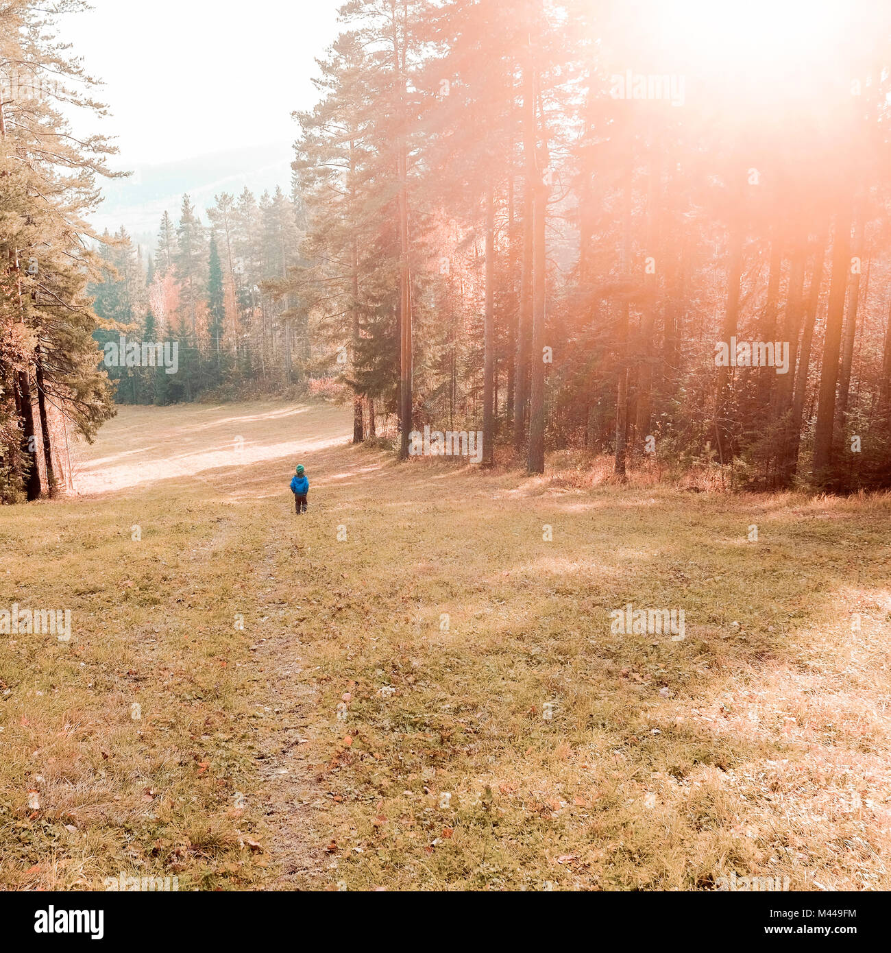 Personne dans la forêt, à l'Oural, Sverdlovsk, Russie Banque D'Images