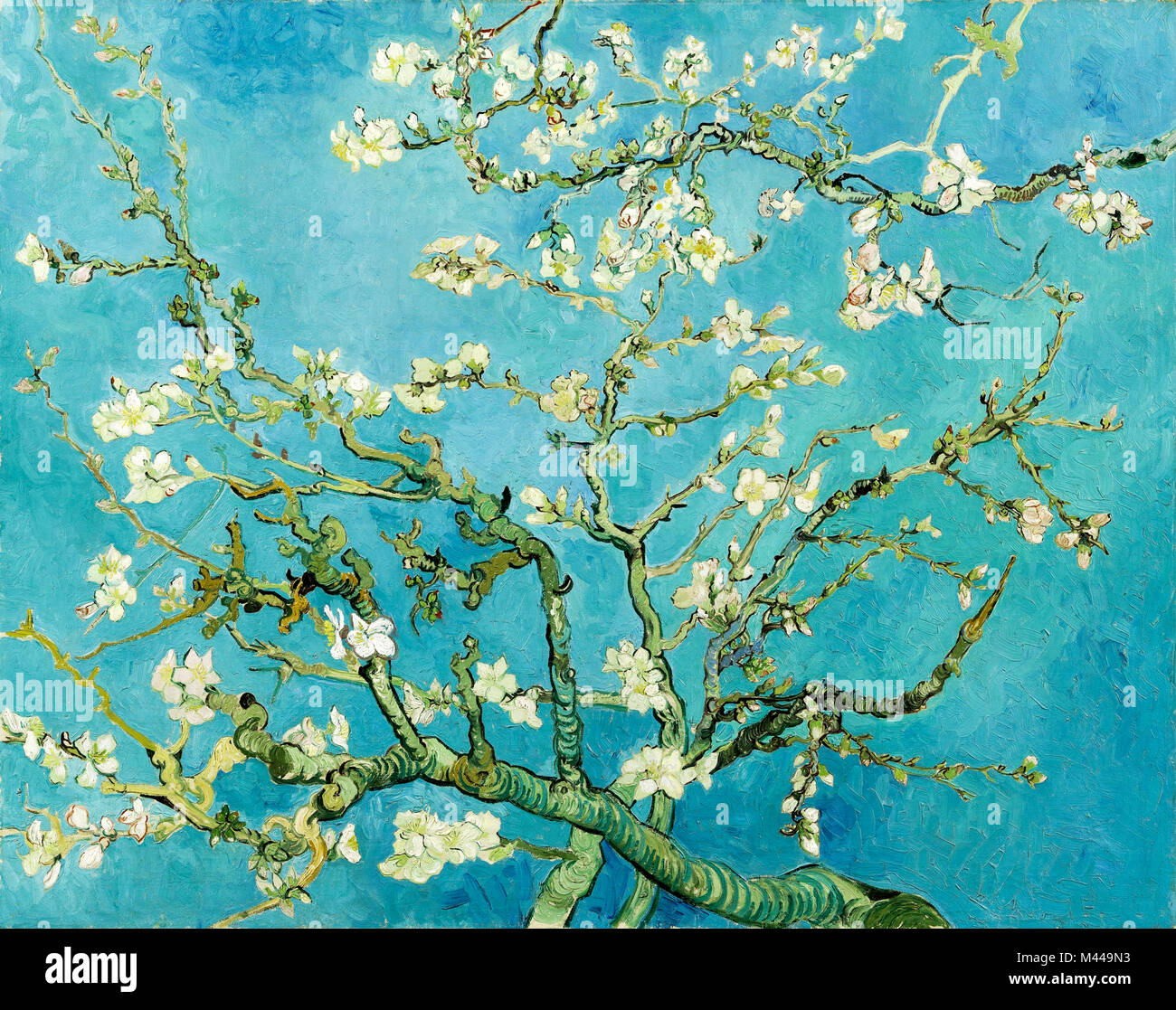 1890 Fleur d'amandier, par Van Gogh Banque D'Images