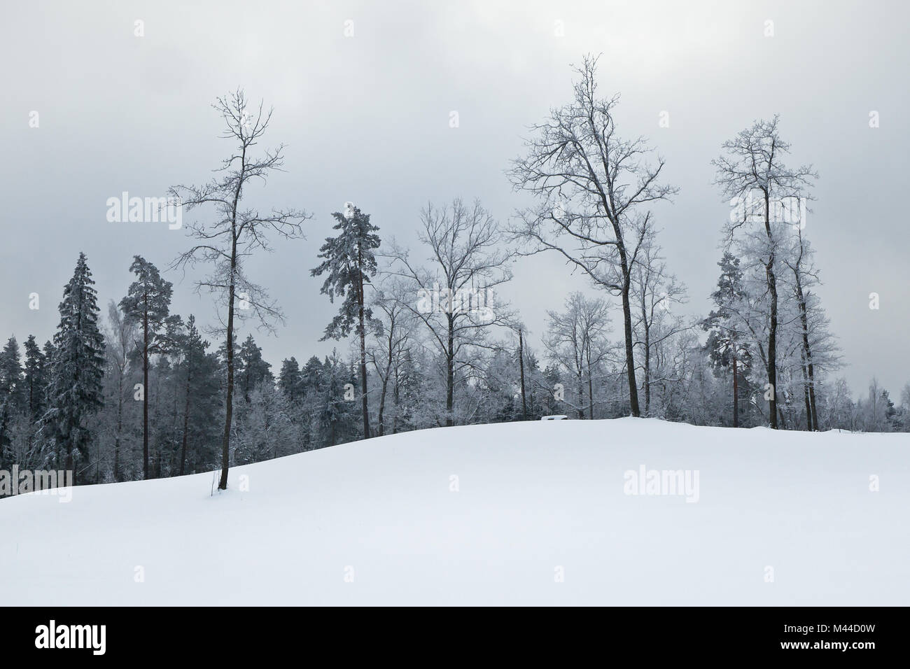 Domaine skiable, Madona Lettonie Banque D'Images