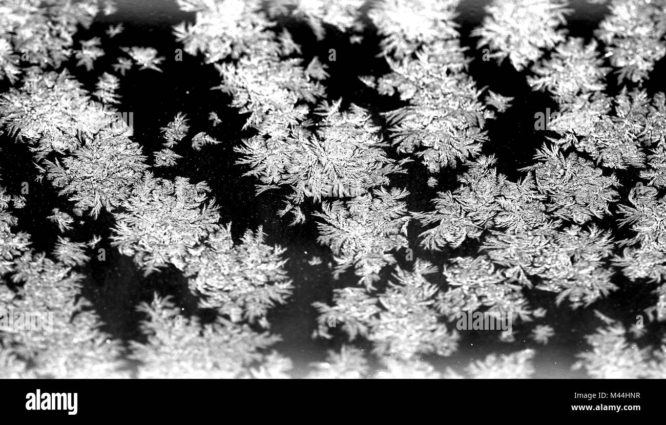 cristaux de glace Banque D'Images
