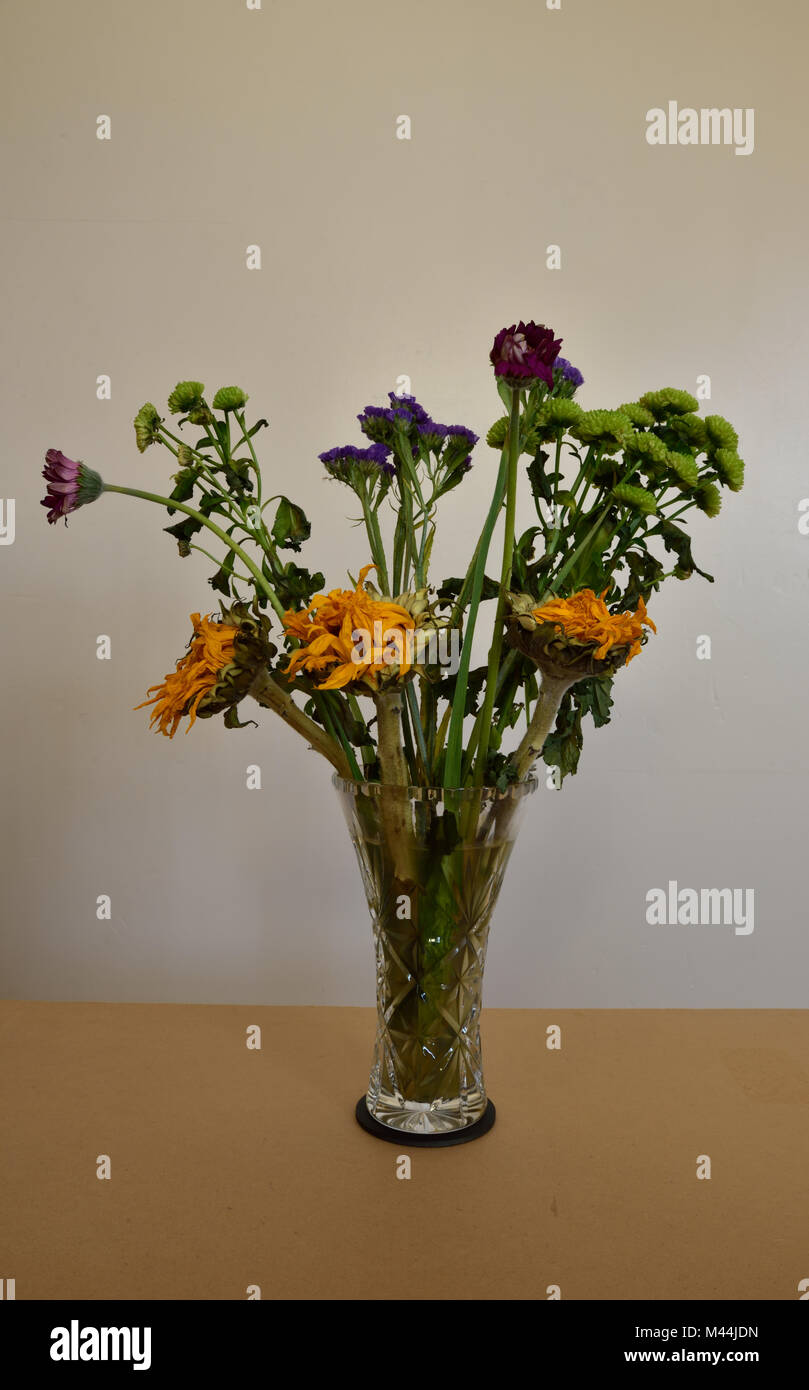 Un tas de mourir des fleurs dans un vase en verre. Banque D'Images