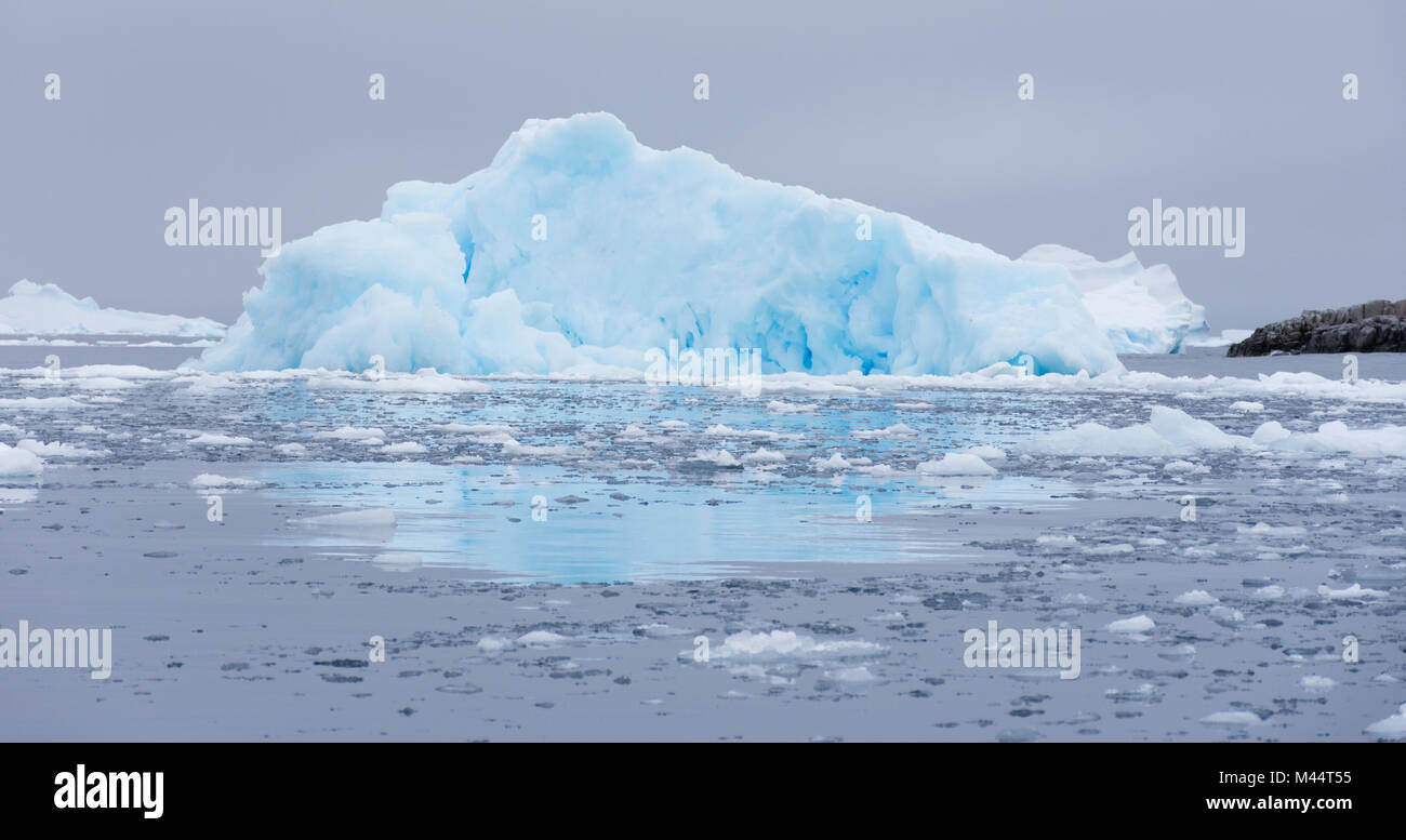 Bébé bleu turquoise et iceberg flottant dans Cierva Cove, l'Antarctique dans l'eau gris foncé de l'océan Austral. Banque D'Images