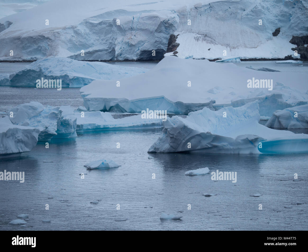 Un gros iceberg avec fissures et les crêtes flottant dans la baie de Charlotte dans l'Antarctique. Le morceau de l'iceberg a vêlé, laissant un bord déchiqueté. Banque D'Images