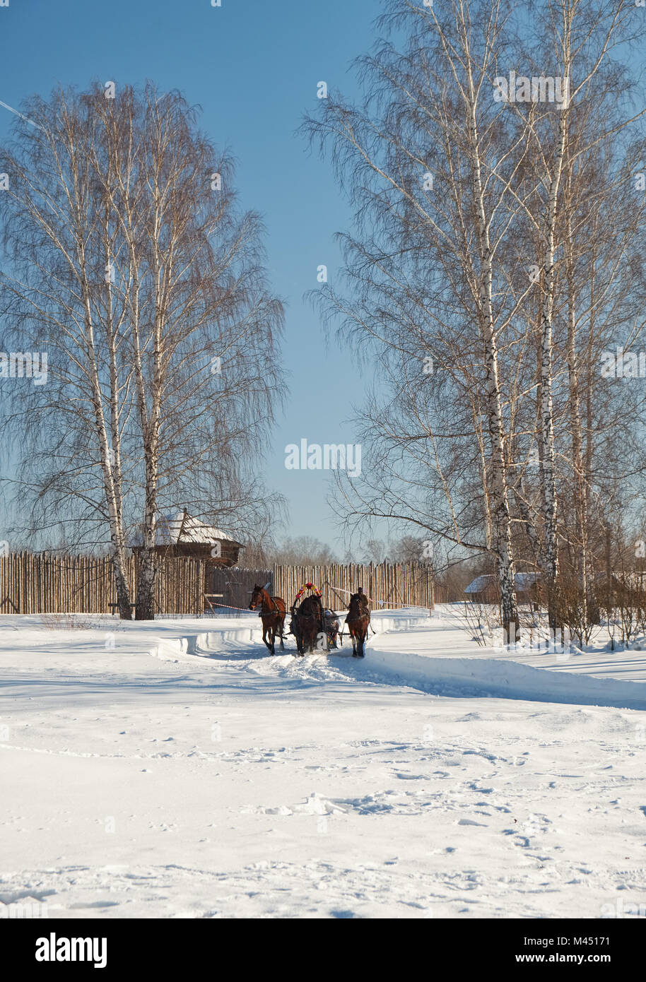 NOVOSIBIRSK, Russie - le 11 janvier 2018 : Troïka des chevaux attelés à un traîneau. La fin de l'hiver fête folklorique slave Le Mardi Gras. Kazymsky la prison. H Banque D'Images