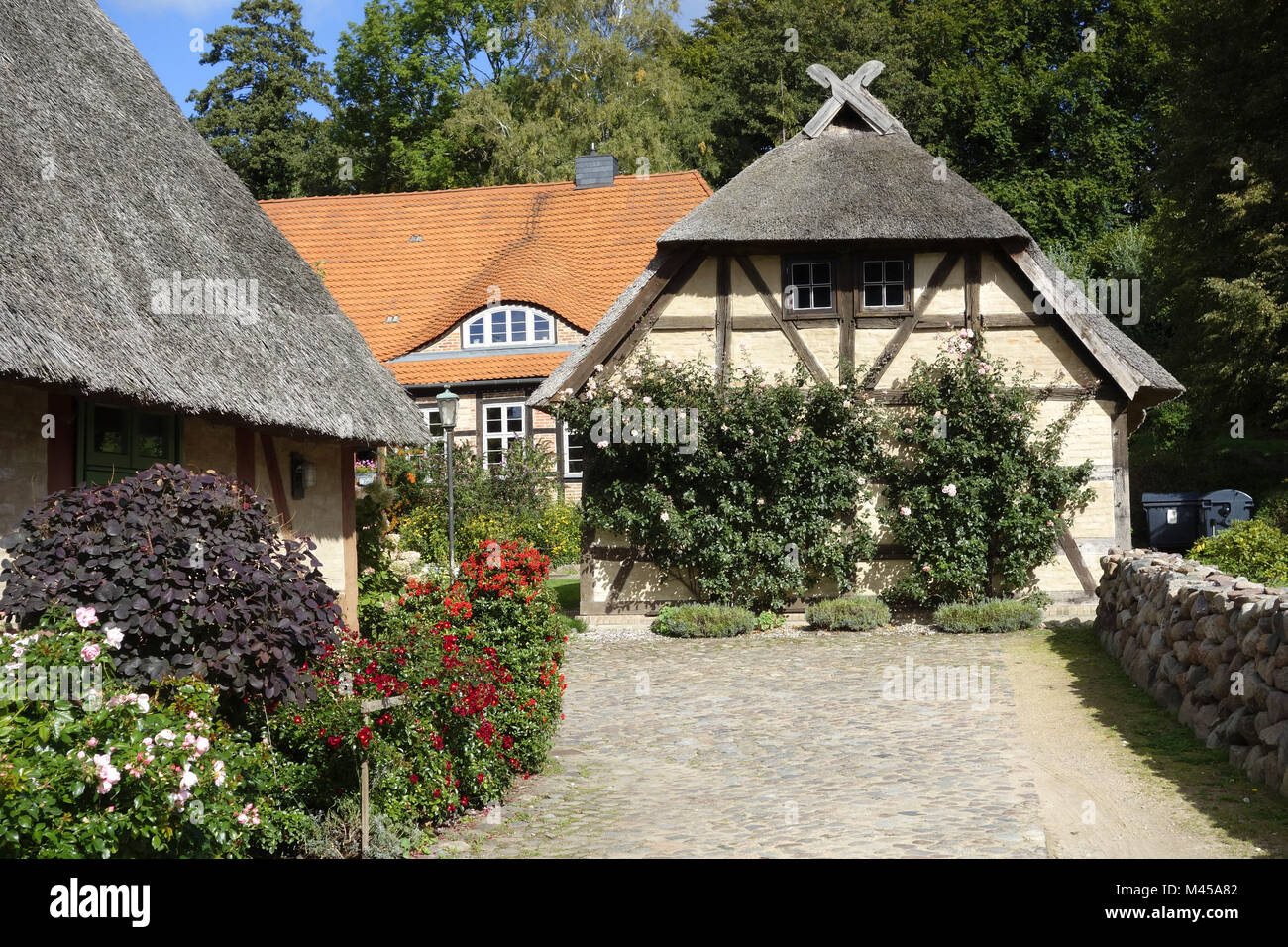 Kessin, près de Rostock, mecklenburg-vorpommern,German Banque D'Images